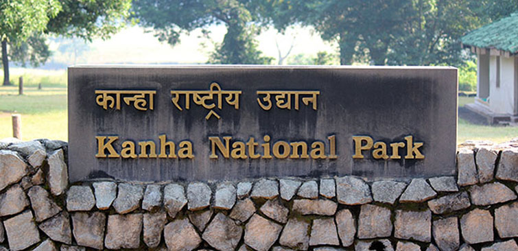 Kanha National Park