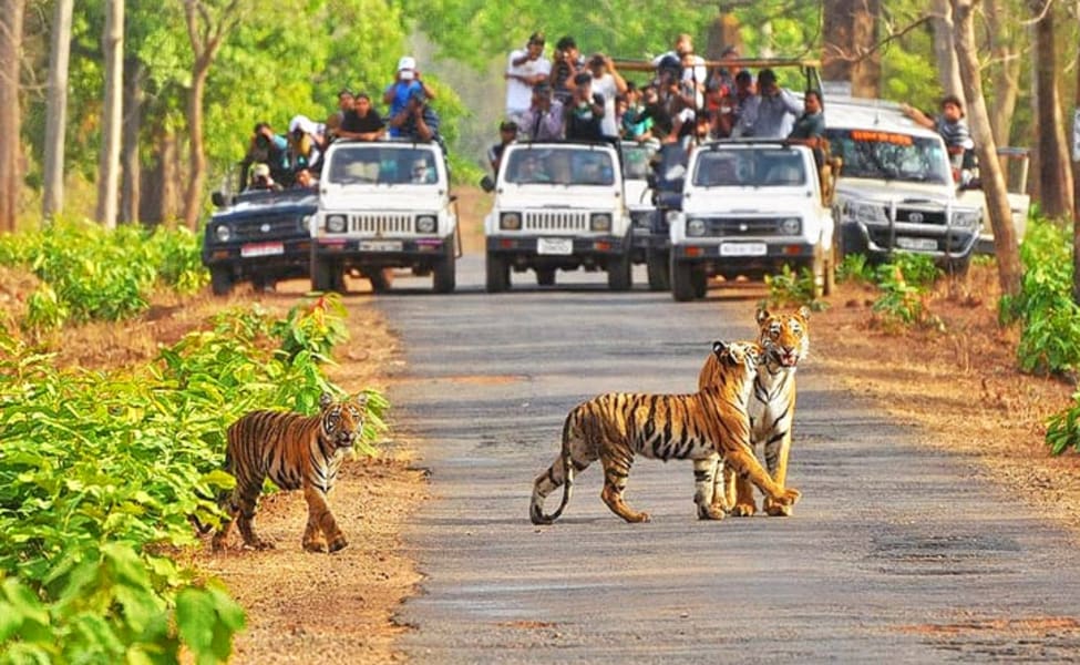 Kanha National Park