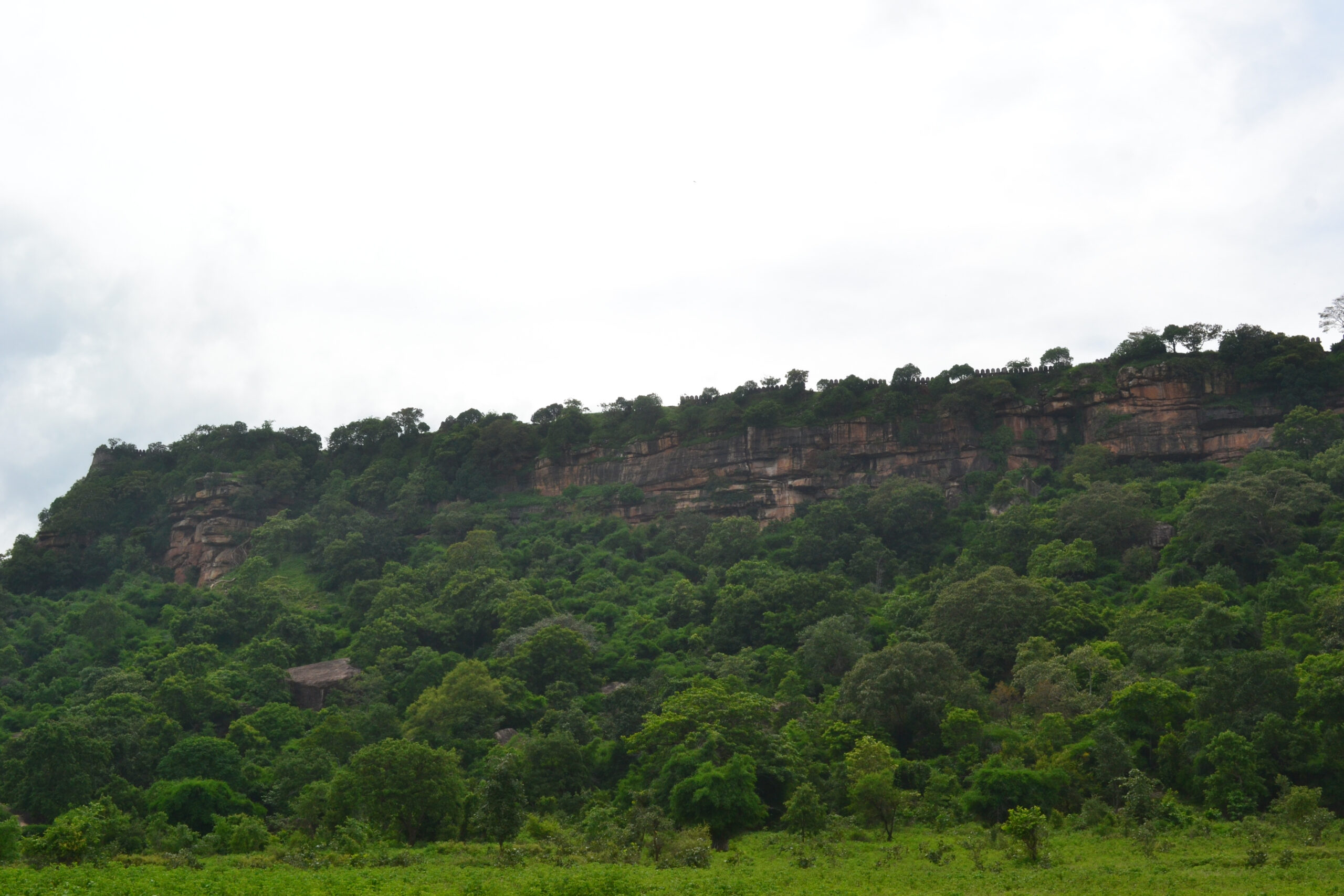 Vijaygarh Fort Temple